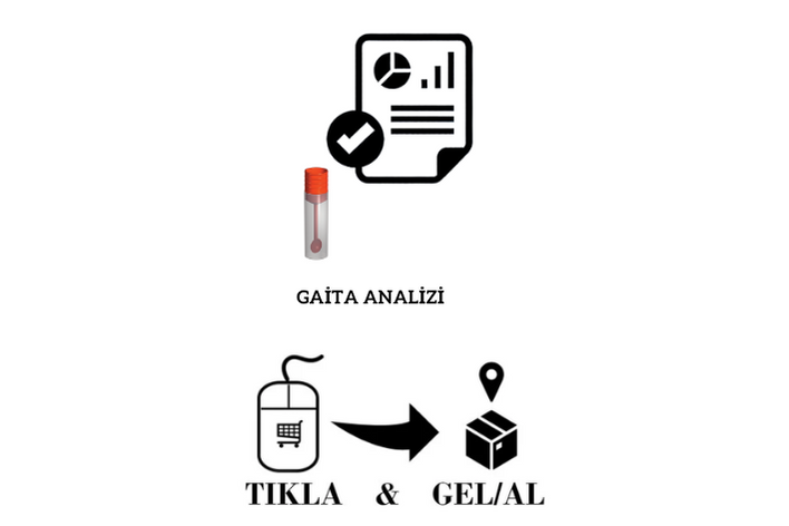 GAİTA ANALİZİ (GEL-AL)